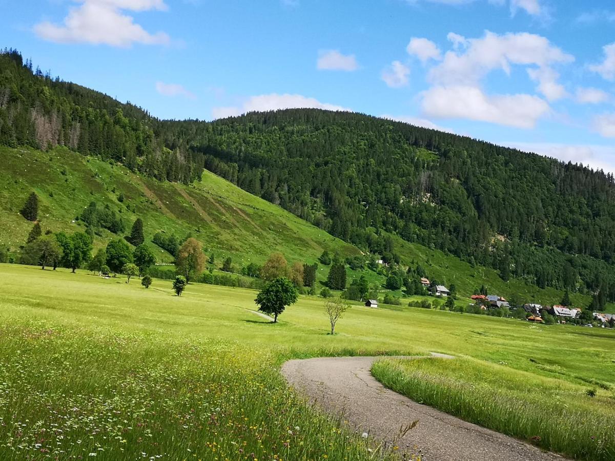 B1 Für Bis Zu 5 Personen * Menzenschwand-Hinterdorf